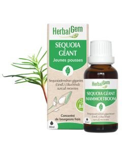 Sequoia géant (Sequoia gigantea) j.p - bourgeon BIO, 30 ml